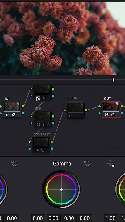 Color Grading a Vintage Flower Shot | DaVinci Resolve | Before & After