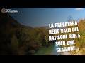 La primavera nelle Valli del Natisone non è solo una stagione