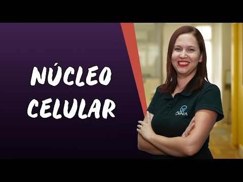 Vídeo: Qual seria o nucléolo em uma escola?