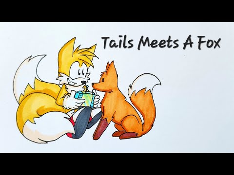 Tails Meets a Fox