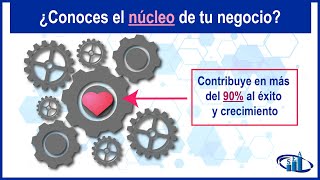 Núcleo de un negocio: la actividad clave que contribuye en más del 90% al éxito de un negocio