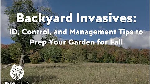 Backyard Invasives: Identification, Management, and Detection Tips to Prep Your Garden For Fall