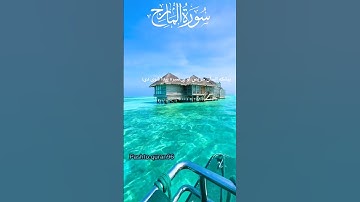 القارئ محمد اللحيدان|سورة المعارج الآية 19#ان_الانسان_خلق_هلوعاً #محمد_اللحيدان #القرآن_الكريم