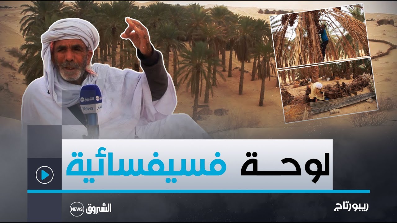 ريبورتاج | محمية سندروس..منطقة طبيعية بالوادي تحتضن غيطان النخيل البعلي