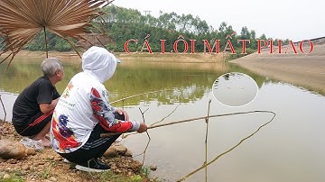 Recreational Fishing - Close up fishing catch buoy - Cận cảnh cá lôi mất phao