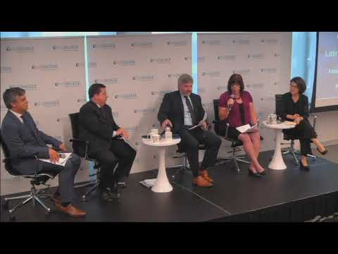 Panel-Three:-Natural-Gas-and-LNG