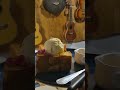 📛 ME MUSIC room 🎼#memusicroom #guitarshop