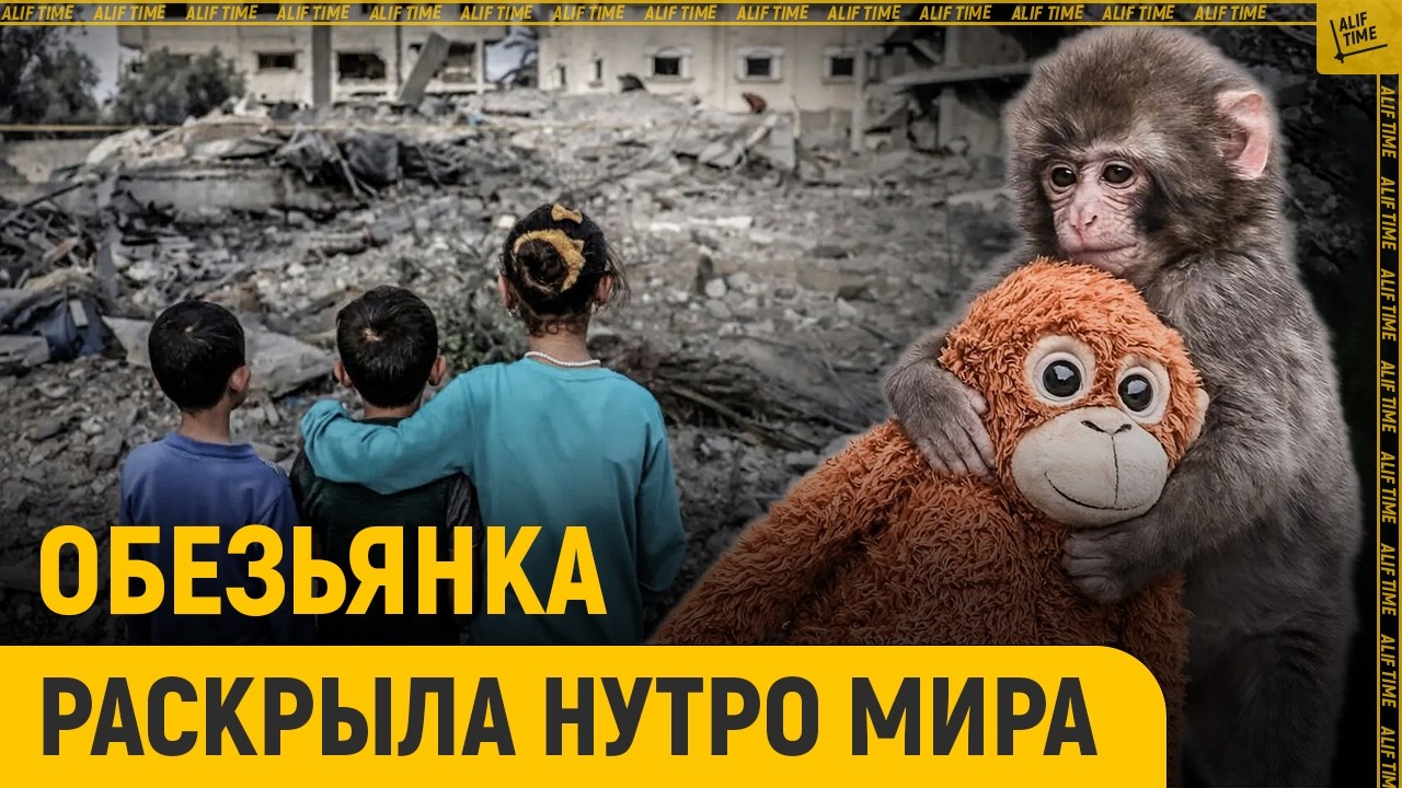  Обезьянка раскрыла нутро всего мира 