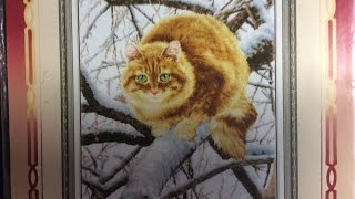 Вышивка крестиком. Рыжий кот, золотое руно. Отчёт 2 Вышивка крестиком. Рыжий кот, золотое руно. Отчёт 2