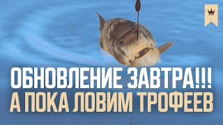 Янтарное: цветные карпы и ... ожидаем обновление ● Русская рыбалка 4 ● Перчик РР4