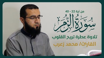 تلاوة عطرة تريح القلوب من  سورة الزمر القارئ/ محمد زعرب
