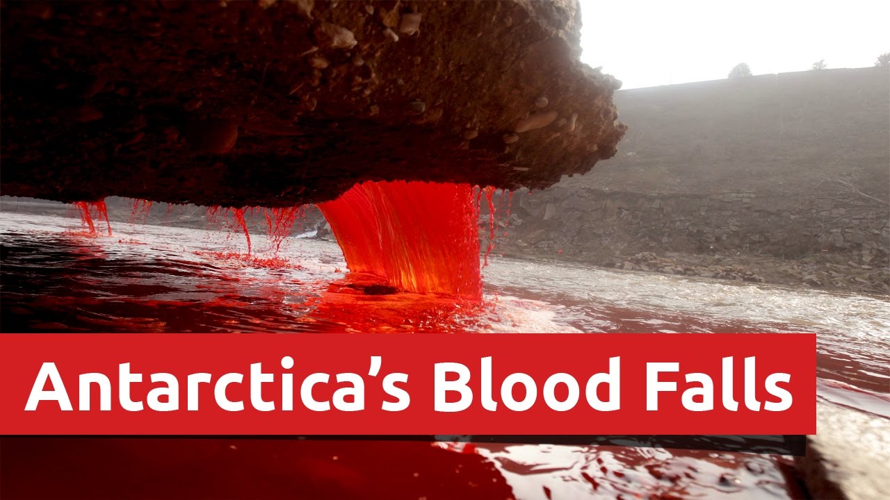 Antarctica's Blood Falls Scientists Solve - YouTube