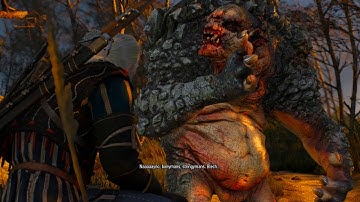 The Witcher 3: The Wild Hunt, #185 A Deadly Plot Part 2