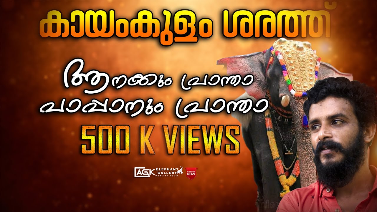 കരിവീരന്മാർക്കിടയിലെ ശരത്തിന്റെ ജീവിതാനുഭവങ്ങൾ നിങ്ങൾക്ക് മുന്നിൽ  l  KAYAMKULAM SARATH