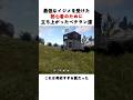 最低なイジメを受けた初心者のために立ち上がる最高のベテランプレイヤーたち
