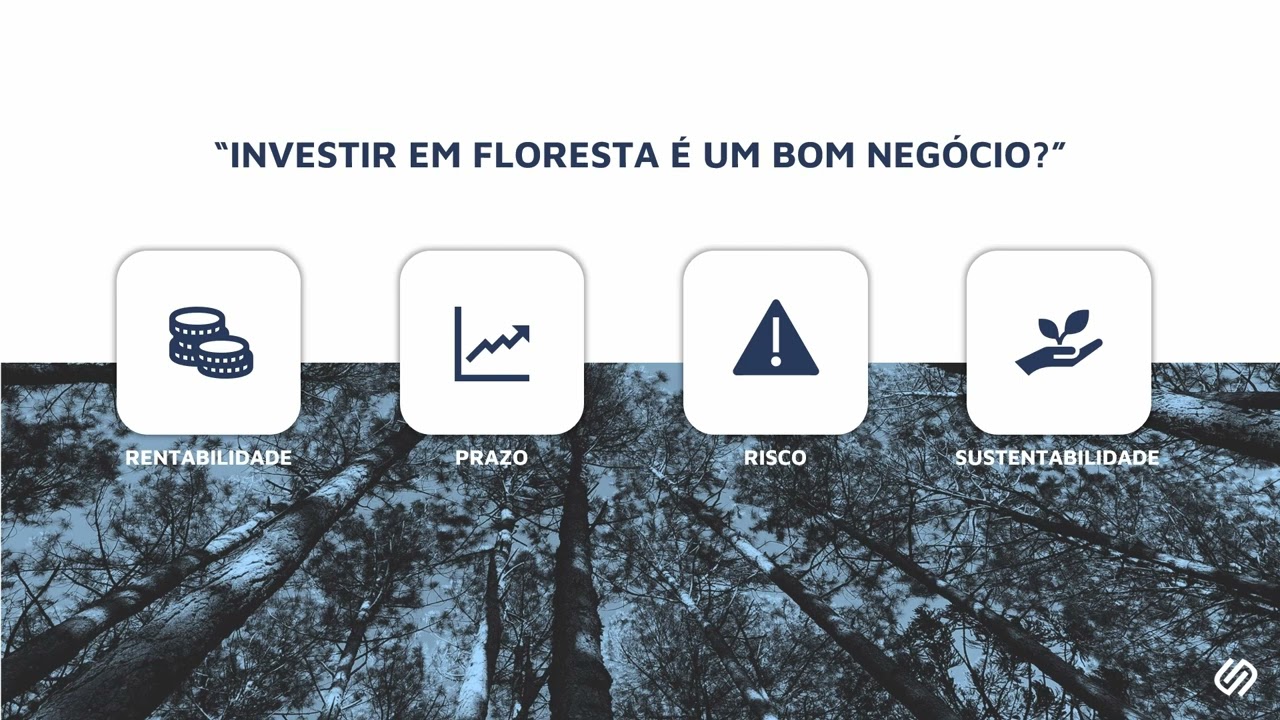 Investir em floresta é um bom negócio?