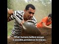 👉 Why Humans Do This Under Pressure (Psychology Explains)#WonderTruths #InspiringFacts #FactsShorts