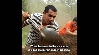 👉 Why Humans Do This Under Pressure (Psychology Explains)#WonderTruths #InspiringFacts #FactsShorts