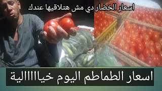 اسعار الطماطم اليوم| اسعار الخيار اليوم واسعار الخضار اليوم اخبار الخضار اليوم