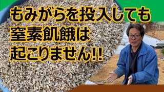 【野菜の畑の土作り】もみがらを大量投入しても窒素飢餓にはなりません　もみがらを使った土作り