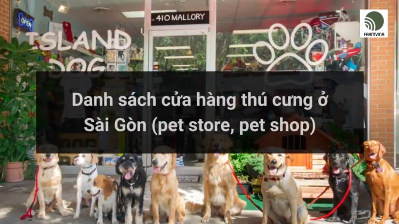thu cung vat nuoi tphcm  2022 Update  Danh sách cửa hàng thú cưng ở Sài Gòn