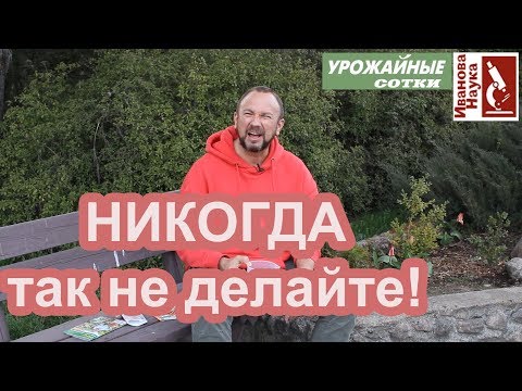 Видео: Най -добрите сортове моркови за Сибир за открита земя