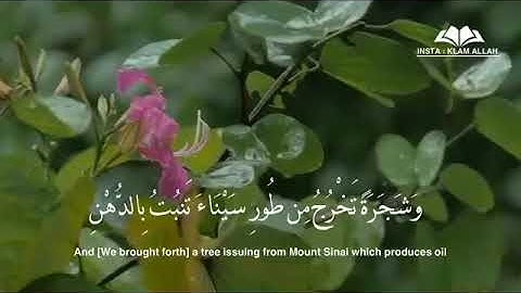 من سورة المؤمنون #لحظات_مع_الله