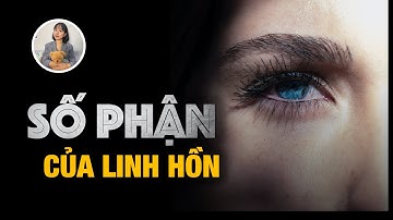 Quá Trình Sắp Xếp Cho Linh Hồn Trước Khi Đầu Thai | Ms. Ruby