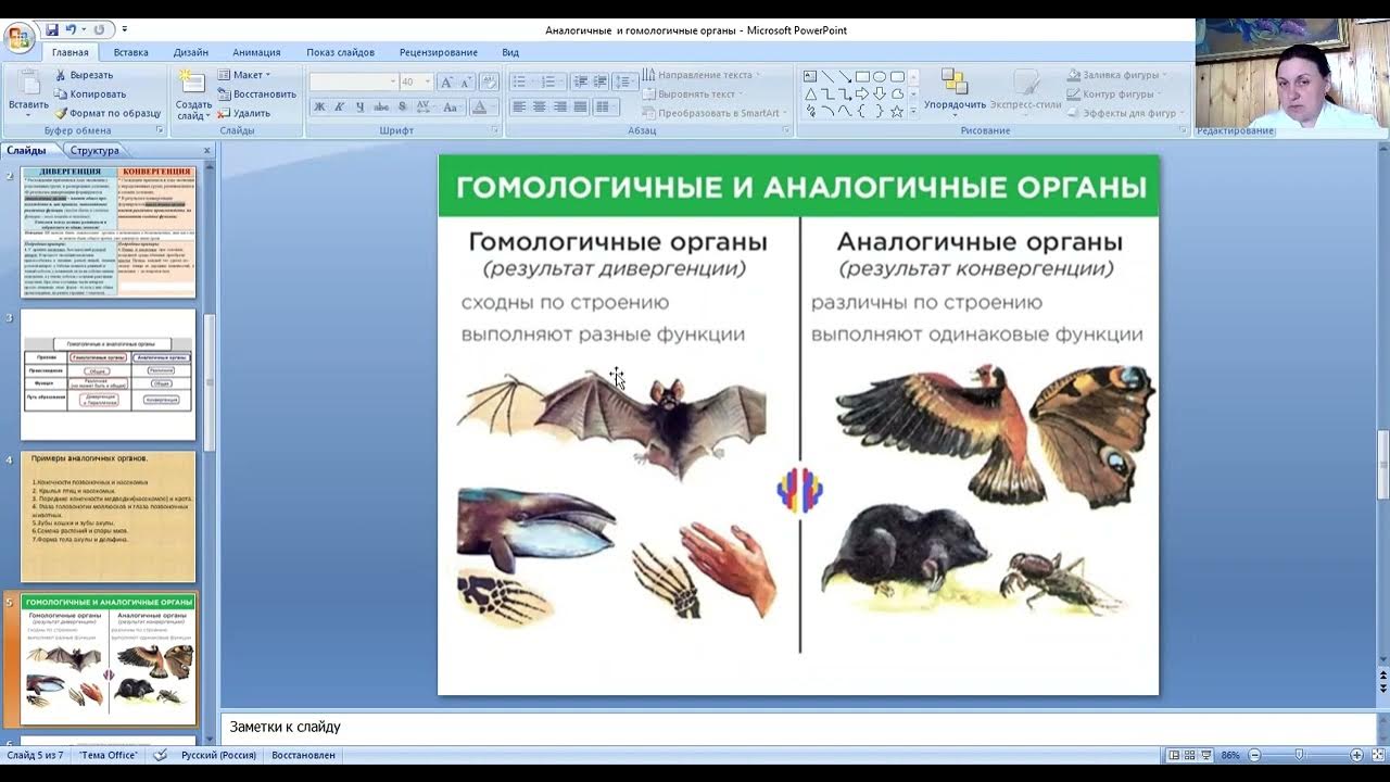 Гомологичные и аналогичные. Гомологичные органы листья. Аналогичные органы примеры у животных. Гомологичные органы из заданий ЕГЭ.