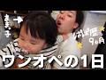 【はんくん頑張れ】最近ママっ子な娘のワンオペが大変すぎる。涙