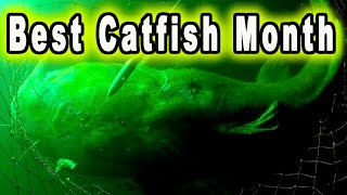 The FOUR Best Months for Catching Catfish