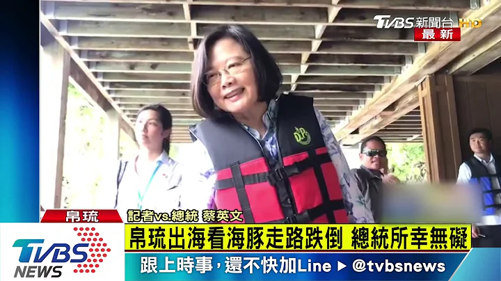 帛琉出海看海豚蔡英文走路跌倒　所幸无碍 - 天天要闻