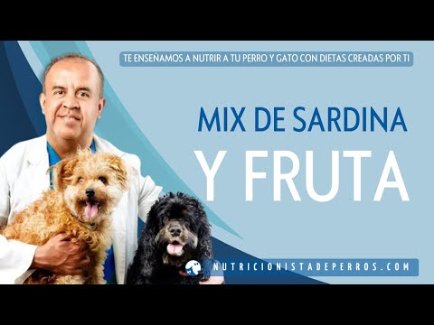 Video: Retiro Involuntario Emitido Por Sunshine Mills, Inc. Para Ciertos Productos Alimenticios Para Perros