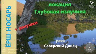 Русская рыбалка 4 - река Северский Донец - Ёрш-носарь и ракушки