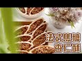 《不藏私，甜點教學》法式焦糖杏仁船