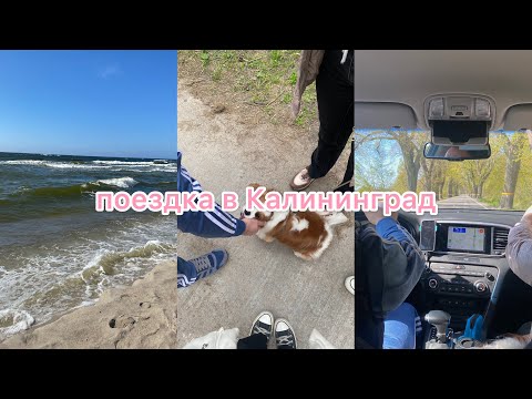 Видео: vlog: поездка в Калининград