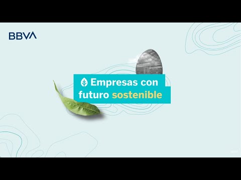 Empresas con futuro sostenible. BBVA: Retos y oportunidades.