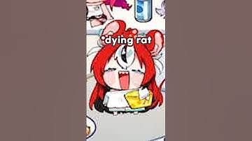 Bae, Cecilia, and IRyS Being in the Same Group is Hilarious