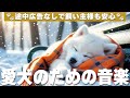 犬が落ち着く音楽 (12時間広告なし) 🐶 愛犬の癒しの音楽 | 愛犬の寝かしつけ / vol.762