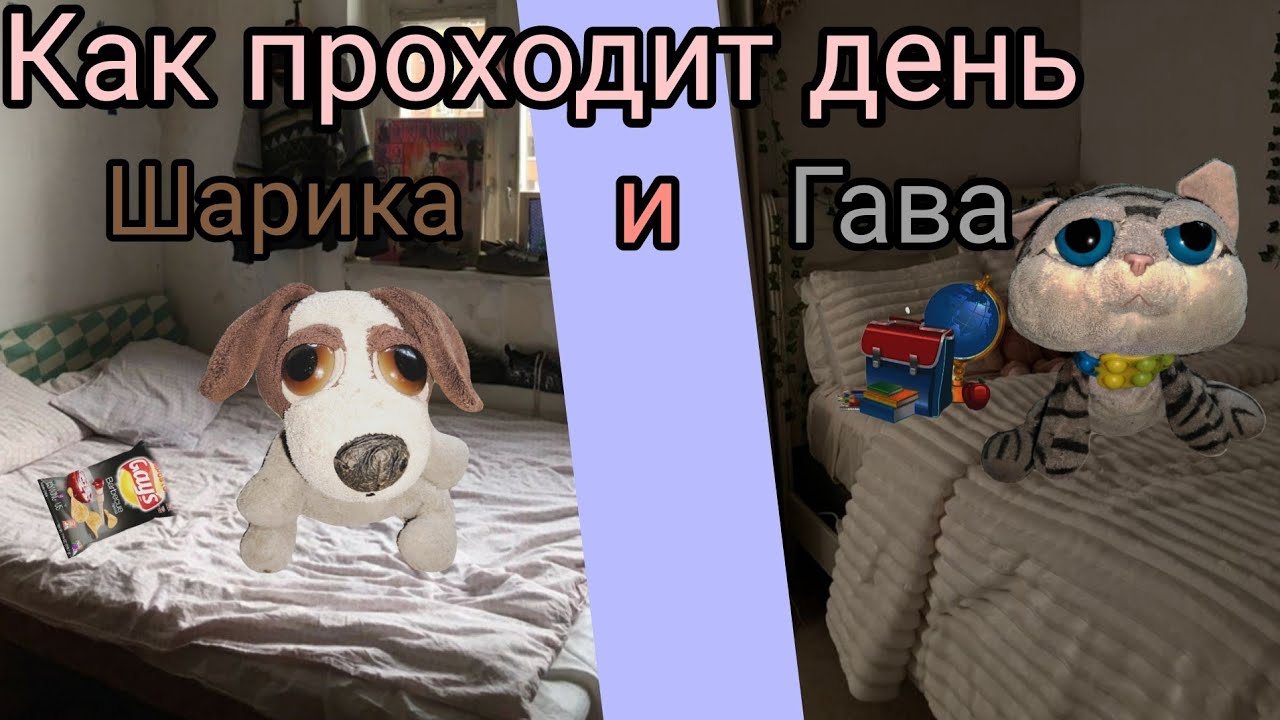 Как Шарик и Гав проводят свой день. 
