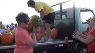 Pumpkin Patch