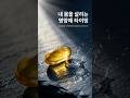이렇게 드셔야 효과가 제대로 나오고 부작용이 없어요!!! 영양제 어떻게 챙겨 드시고 계신가요? 성분에 따라 흡수율이 높은 시간이 다르고 부작용을 피하는 법까지 전부정리해드립니다.