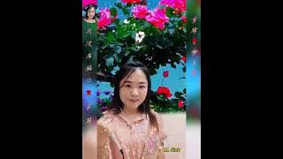 【我没有骗你】#网络直播歌手 #翻唱 【莉莉 Lily Soh】#美霞姐视频剪辑🥰