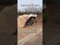 Топ автотоваров, которые изменят вашу жизнь