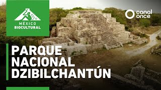 México biocultural - Parque Nacional Dzibilchantún