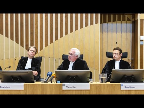 Kijk hier naar de uitspraak in de zaak Willem Holleeder