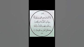 سورة التغابن. الآية 11. القرآن الكريم.رعد الكردي[مَآ أَصَابَ مِن مُّصِيبَةٍ إِلَّا بِإِذۡنِ ٱللَّه]