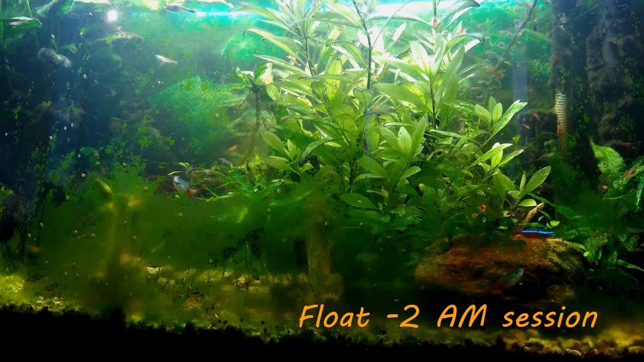 Watch Sleepless Echoes - Float - 2 AM sessions on YouTube Watch Sleepless Echoes - Float - 2 AM sessions on YouTube
