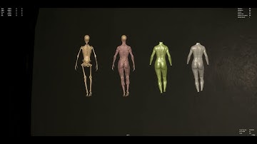 Ziva VFX Muscle WIP Female Asset