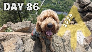 Yes Leo Climbed That! - Day 86 - Appalachian Trail